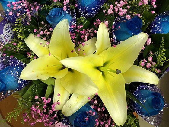 成都鲜花庆典-景观设计